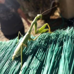 Meet your Posher, Jacob